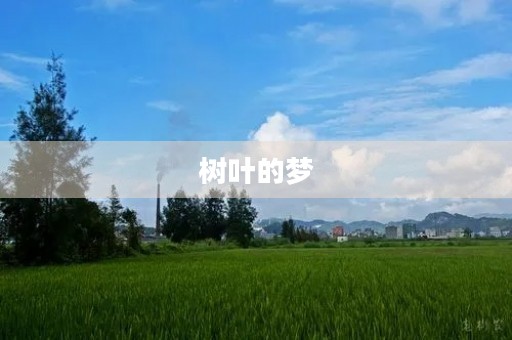 树叶的梦