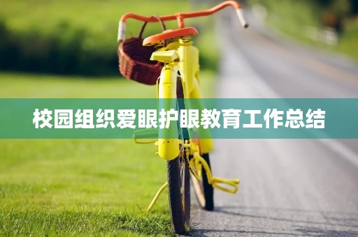 校园组织爱眼护眼教育工作总结