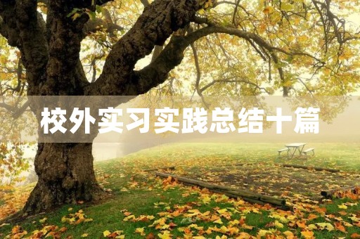 校外实习实践总结十篇 校外实习实践总结十篇