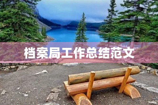 档案局工作总结范文