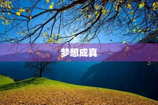梦想成真