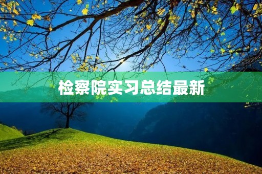 检察院实习总结最新
