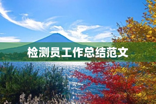 检测员工作总结范文