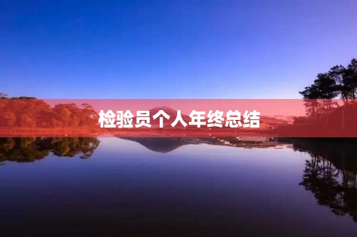 检验员个人年终总结