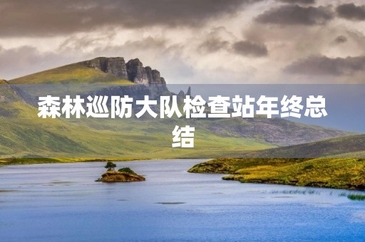 森林巡防大队检查站年终总结