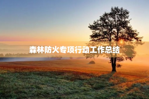 森林防火专项行动工作总结 森林防火专项行动工作总结