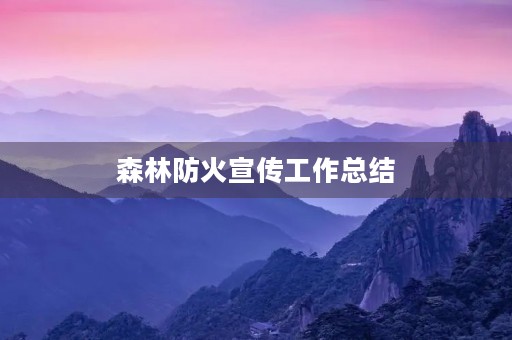 森林防火宣传工作总结