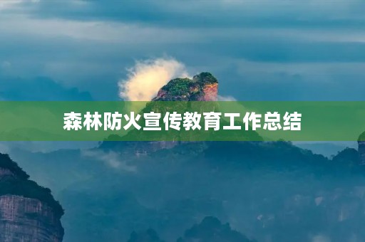 森林防火宣传教育工作总结 森林防火宣传教育工作总结