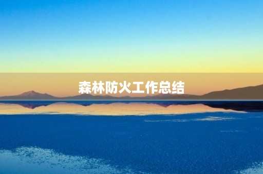 森林防火工作总结