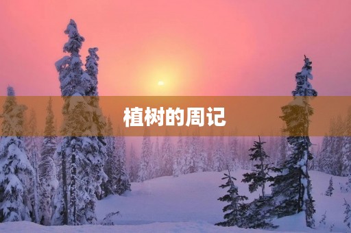 植树的周记