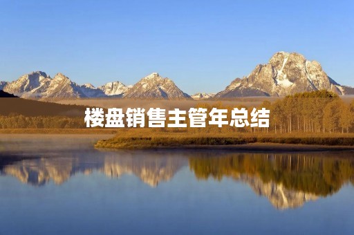 楼盘销售主管年总结