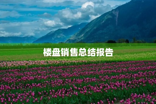 楼盘销售总结报告