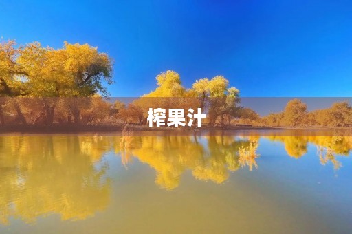 榨果汁 榨果汁