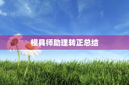 模具师助理转正总结