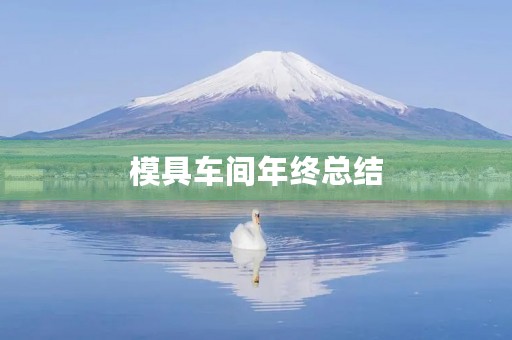 模具车间年终总结 模具车间年终总结