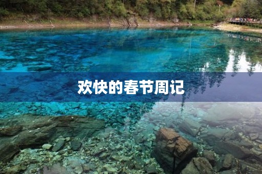 欢快的春节周记