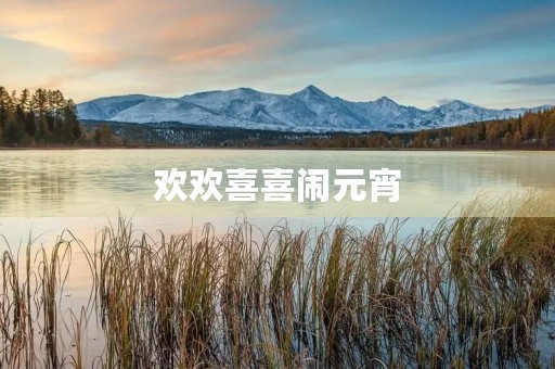 欢欢喜喜闹元宵