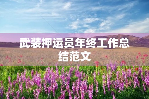 武装押运员年终工作总结范文
