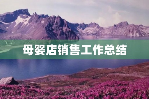 母婴店销售工作总结 母婴店销售工作总结