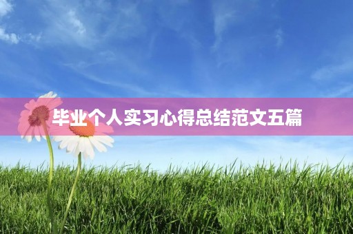 毕业个人实习心得总结范文五篇