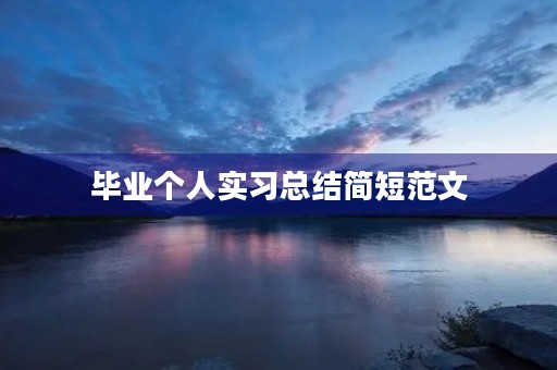 毕业个人实习总结简短范文