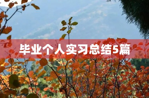 毕业个人实习总结5篇