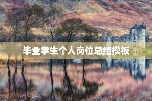 毕业学生个人岗位总结模板