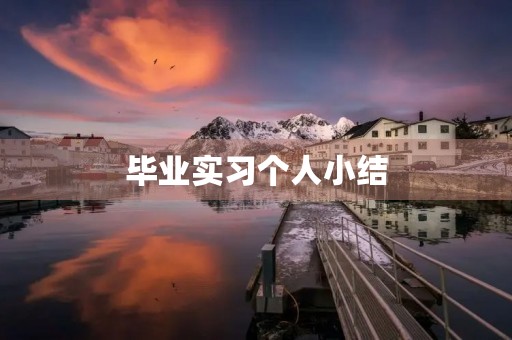 毕业实习个人小结