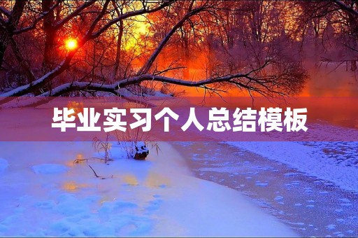 毕业实习个人总结模板