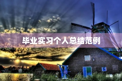 毕业实习个人总结范例