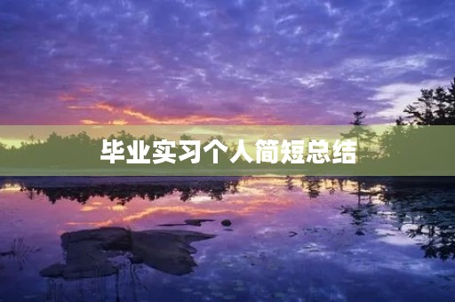 毕业实习个人简短总结 毕业实习个人简短总结