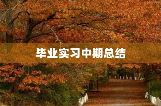 毕业实习中期总结