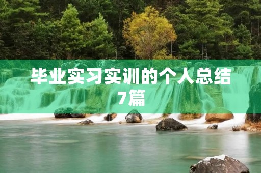 毕业实习实训的个人总结7篇