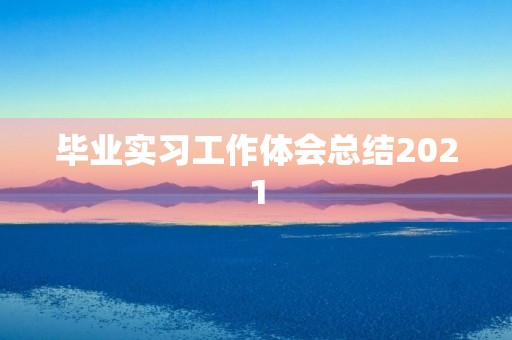 毕业实习工作体会总结2021