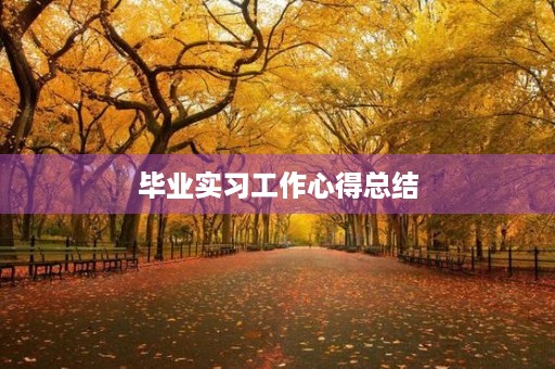 毕业实习工作心得总结 毕业实习工作心得总结