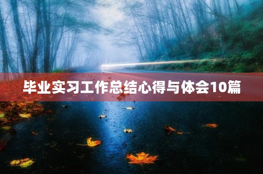 毕业实习工作总结心得与体会10篇