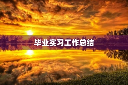 毕业实习工作总结（7篇）