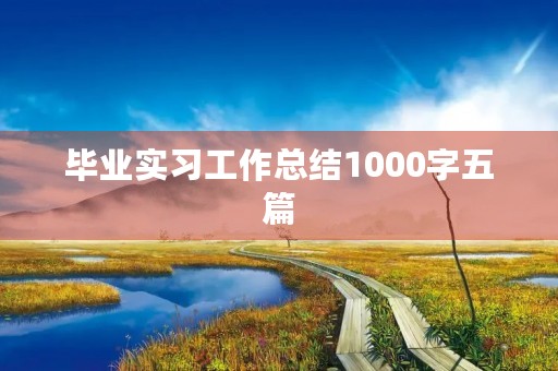 毕业实习工作总结1000字五篇