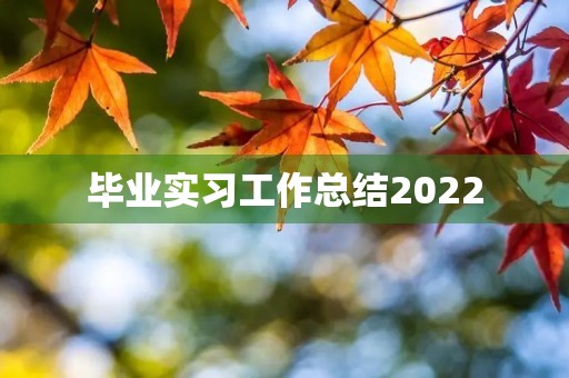 毕业实习工作总结2022