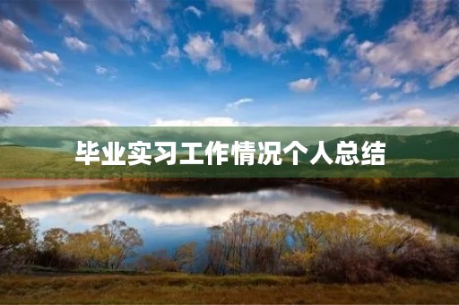 毕业实习工作情况个人总结