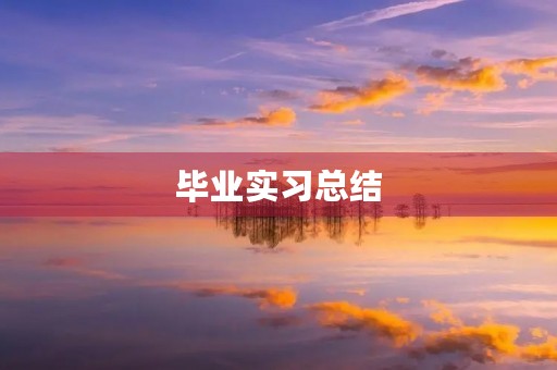 毕业实习总结(5篇)