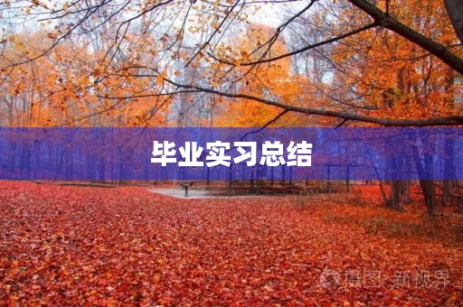 毕业实习总结【五篇】 毕业实习总结【五篇】