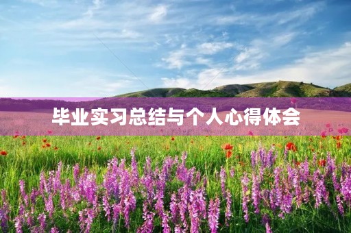 毕业实习总结与个人心得体会 毕业实习总结与个人心得体会