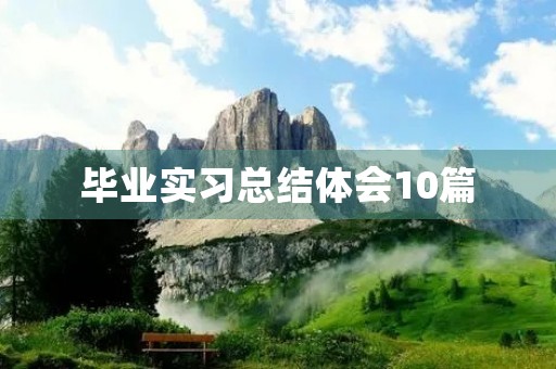 毕业实习总结体会10篇