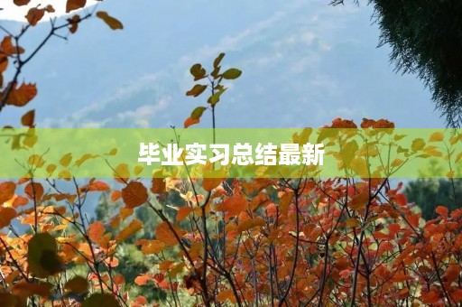 毕业实习总结最新 毕业实习总结最新