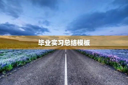 毕业实习总结模板