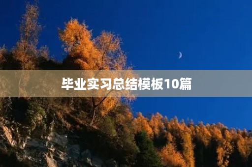 毕业实习总结模板10篇