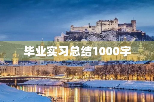 毕业实习总结1000字（14篇）