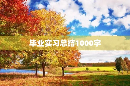 毕业实习总结1000字 毕业实习总结1000字