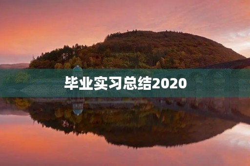 毕业实习总结2020